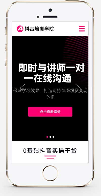 (自适应手机端)响应式抖音网红培训机构网站模板 自媒体短视频拍摄技巧网站