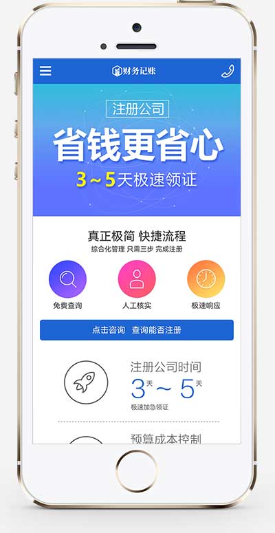 (PC+WAP)财税记账推广单页网站模板 财务会计类落地页网站
