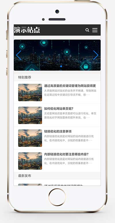 (自适应手机端)创业资讯文章类网站模板 新闻个人博客网站