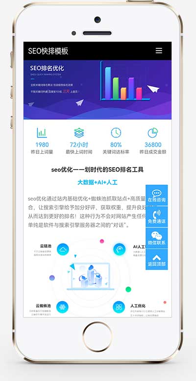 (自适应移动端)seo快排网站模板 大气的IT网络软件公司网站