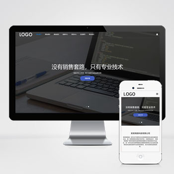 海南(自适应手机端)网站建设网络科技类模板 SEO优化网络建站公···