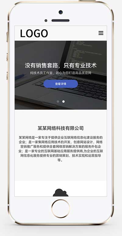 (自适应手机端)网站建设网络科技类模板 SEO优化网络建站公司网站